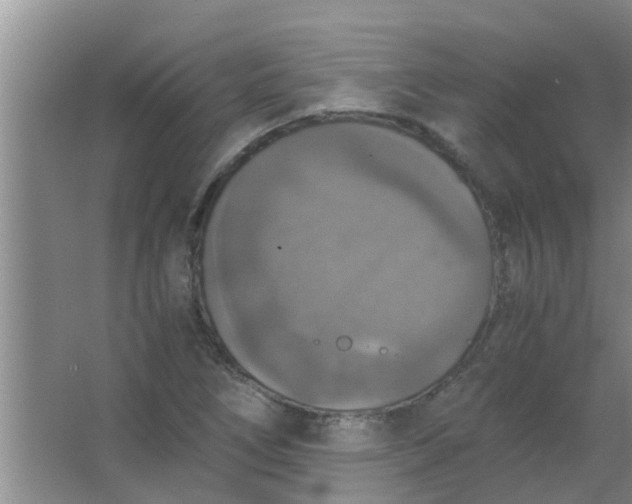 X0000063461266200602031824