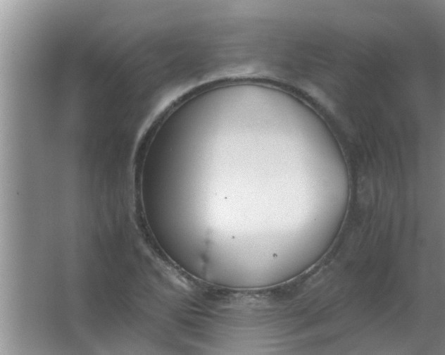 X0000063461270200602031824