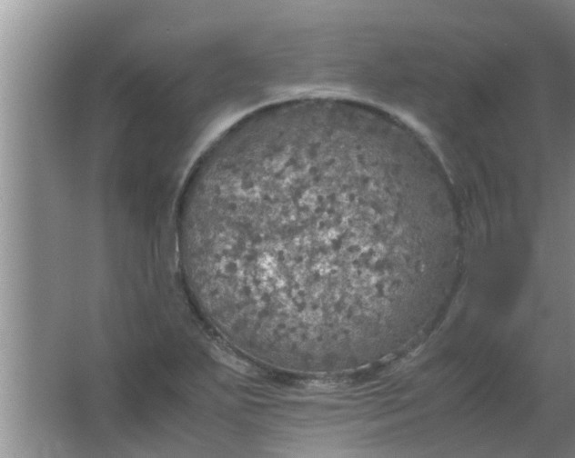 X0000063461271200602031824