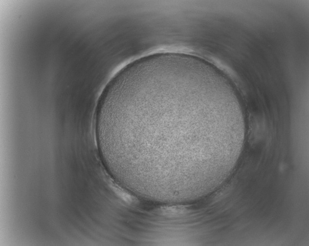 X0000063461272200602031824