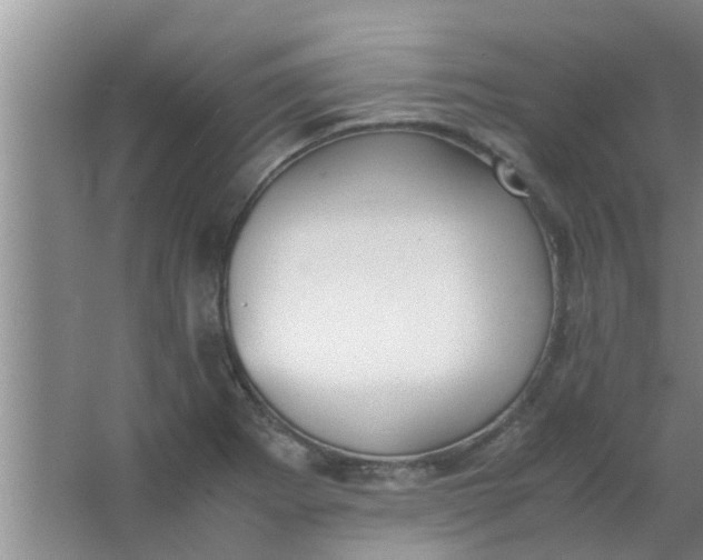 X0000063461273200602031824