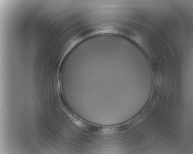 X0000063461274200602031824