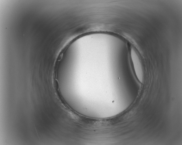 X0000063461277200602031824