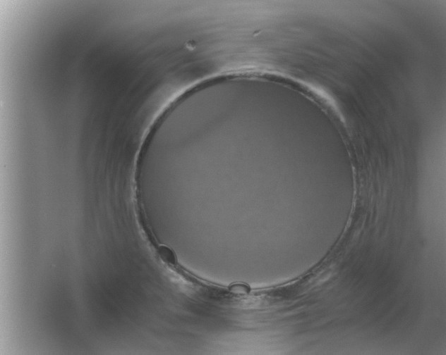 X0000063461279200602031824