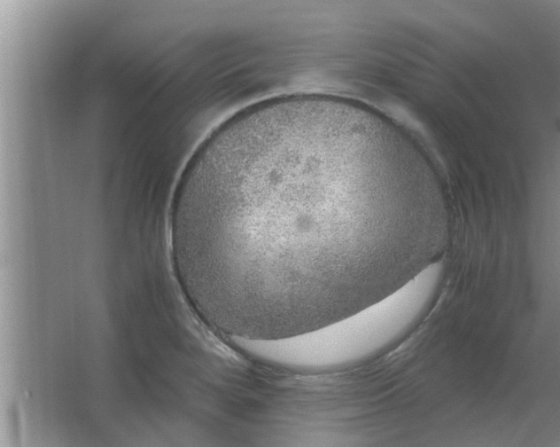 X0000063461280200602031824