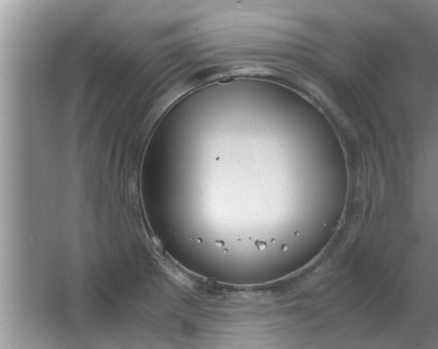 X0000063461281200602031824