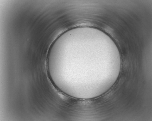 X0000063461282200602031824