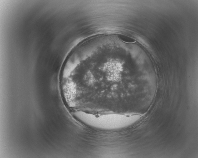 X0000063461283200602031824