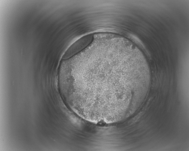 X0000063461284200602031824