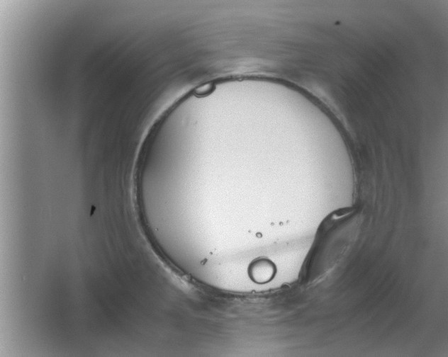 X0000063461285200602031824