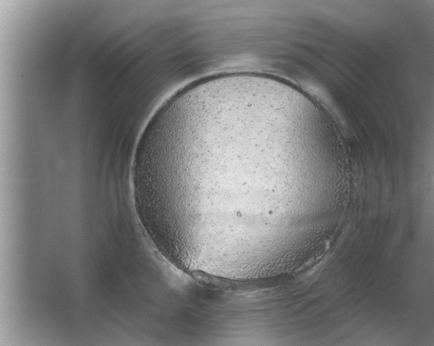 X0000063461288200602031824