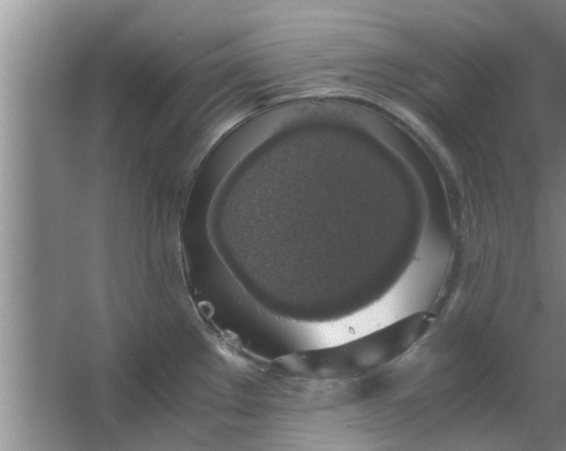 X0000063461289200602031824