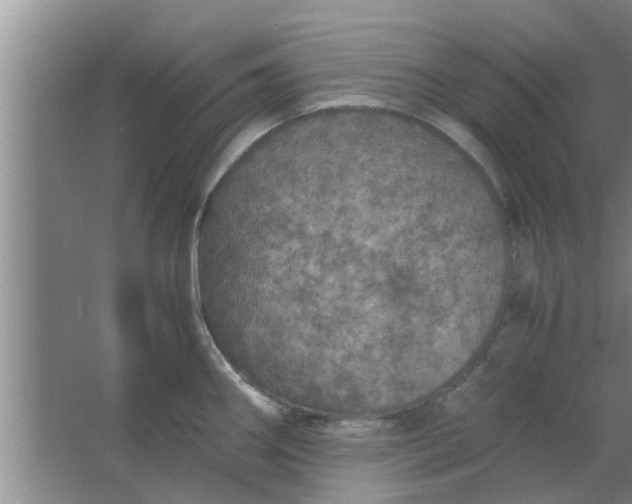 X0000063461290200602031824