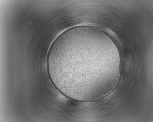 X0000063461292200602031824