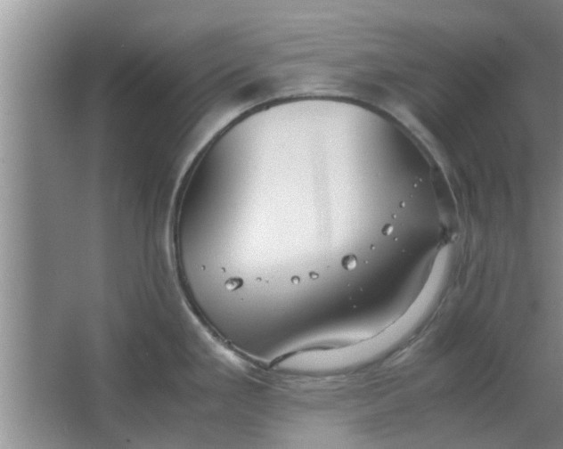 X0000063461293200602031824