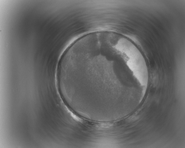 X0000063461294200602031824