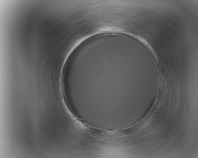 X0000063461295200602031824