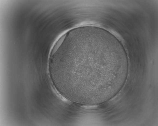 X0000063461296200602031824