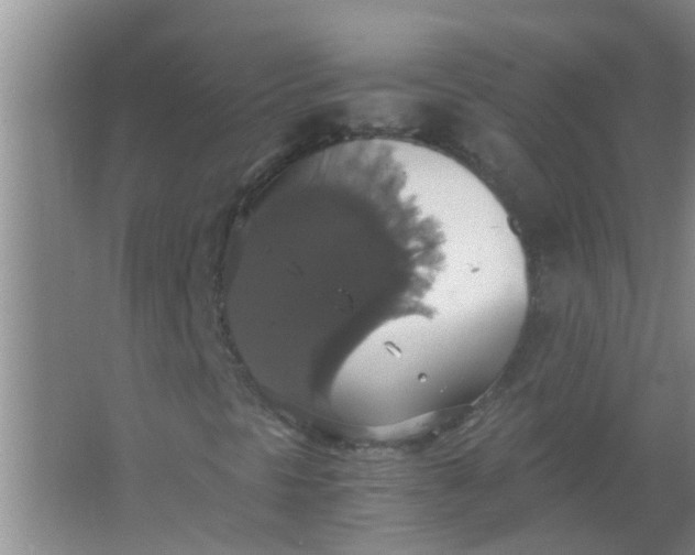 X0000063461297200602031823