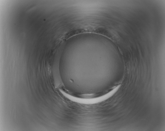 X0000063461298200602031823