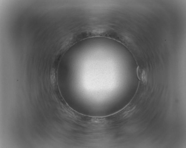 X0000063461299200602031823