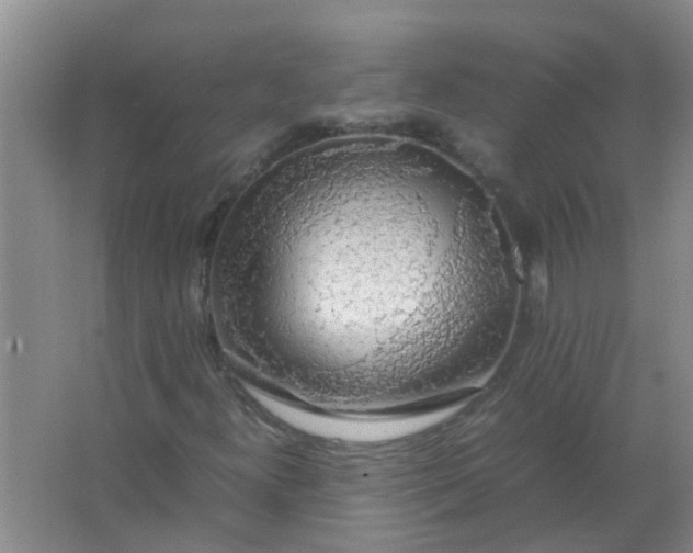 X0000063461300200602031823