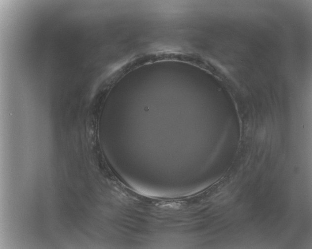 X0000063461303200602031823