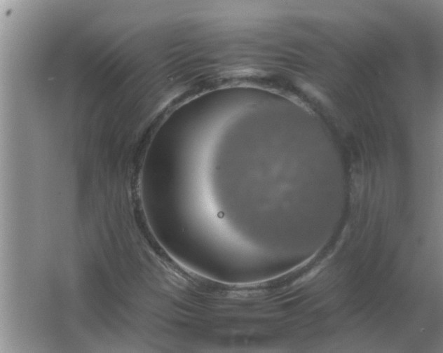 X0000063461305200602031823