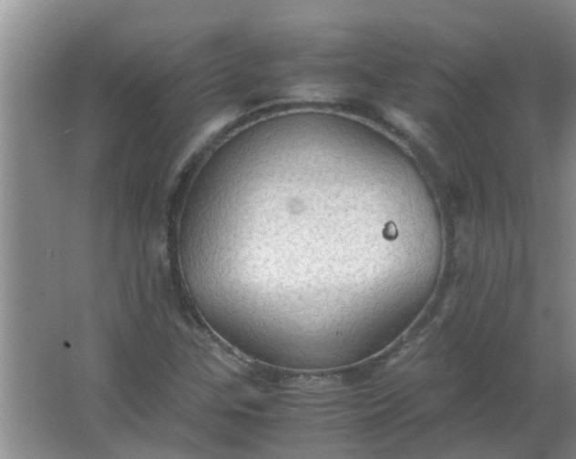 X0000063461307200602031823