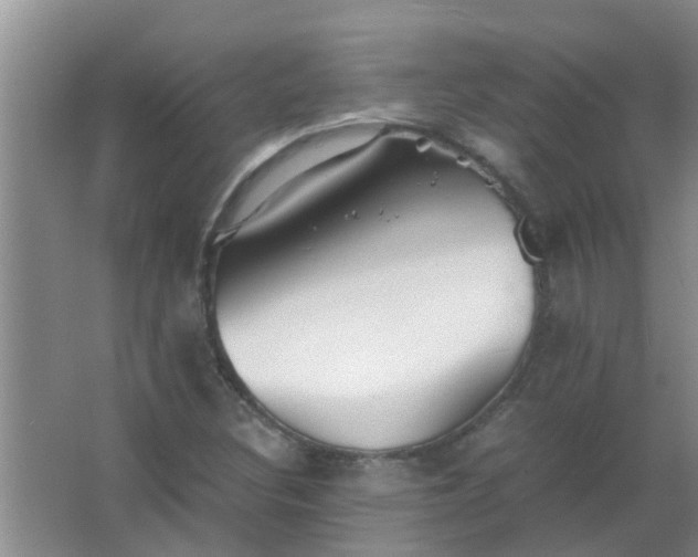 X0000063461308200602031823