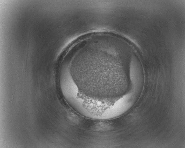 X0000063461311200602031823