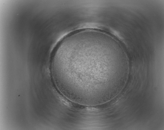 X0000063461312200602031823