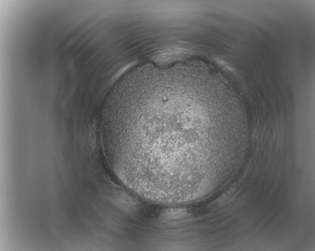 X0000063461313200602031823