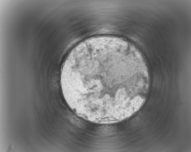 X0000063461314200602031823