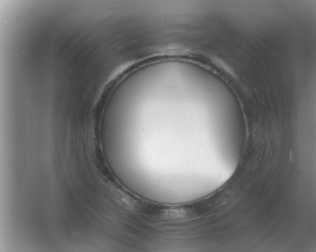 X0000063461315200602031823