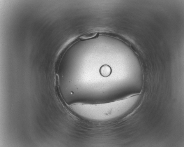 X0000063461317200602031823