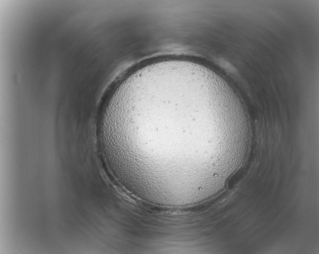 X0000063461318200602031823