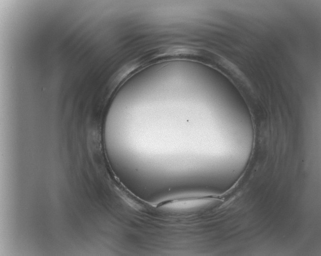 X0000063461321200602031823