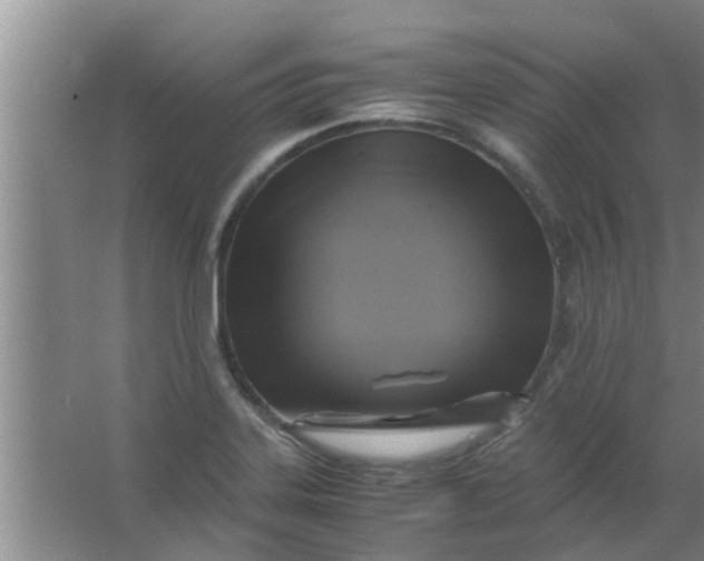 X0000063461323200602031824