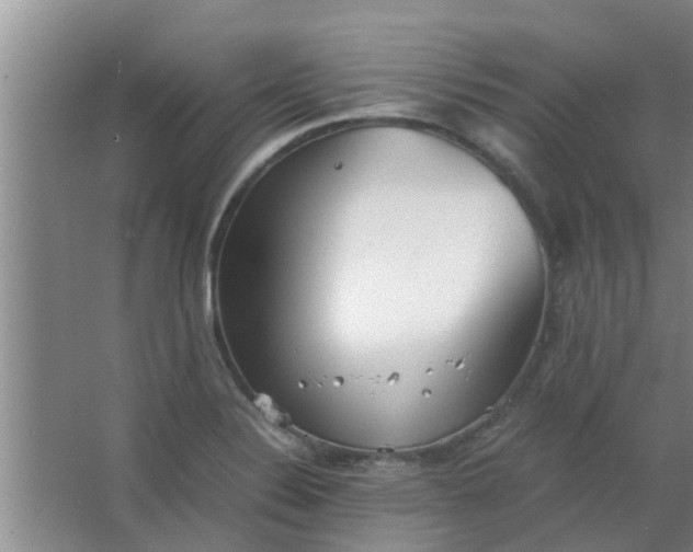 X0000063461324200602031824