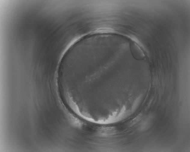 X0000063461325200602031824