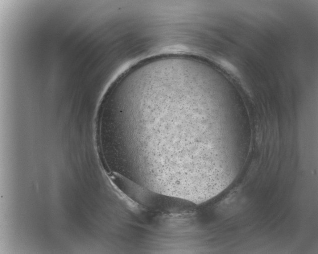 X0000063461326200602031824