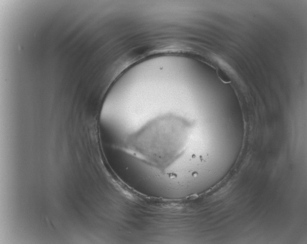 X0000063461329200602031824