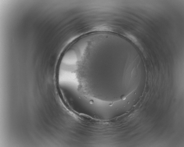 X0000063461331200602031824