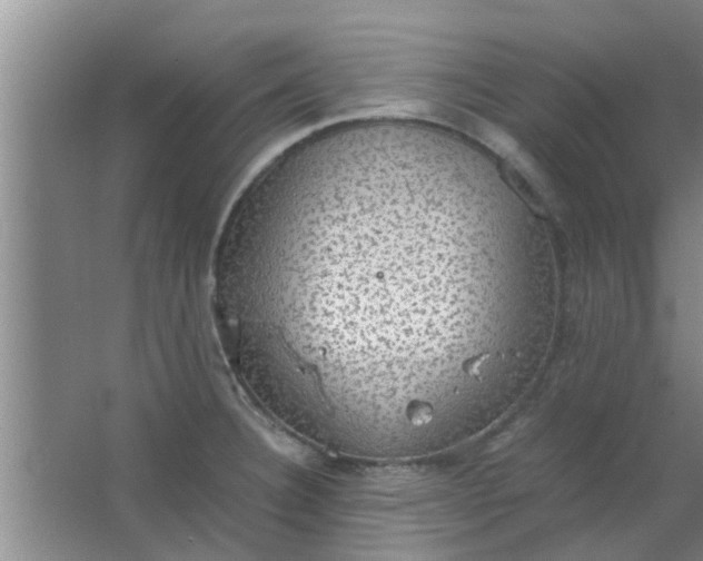 X0000063461332200602031824