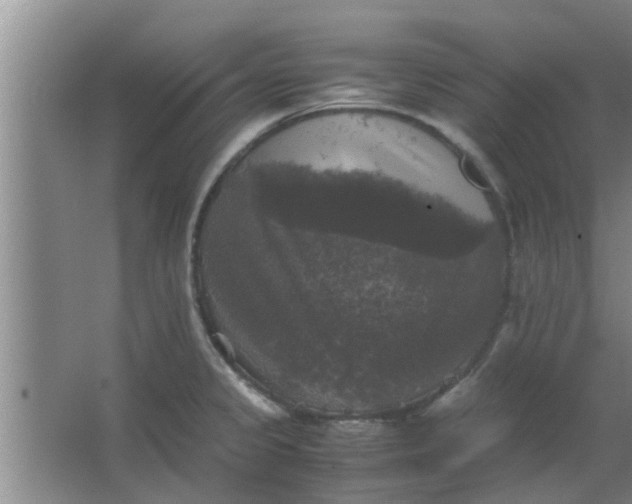 X0000063461333200602031824