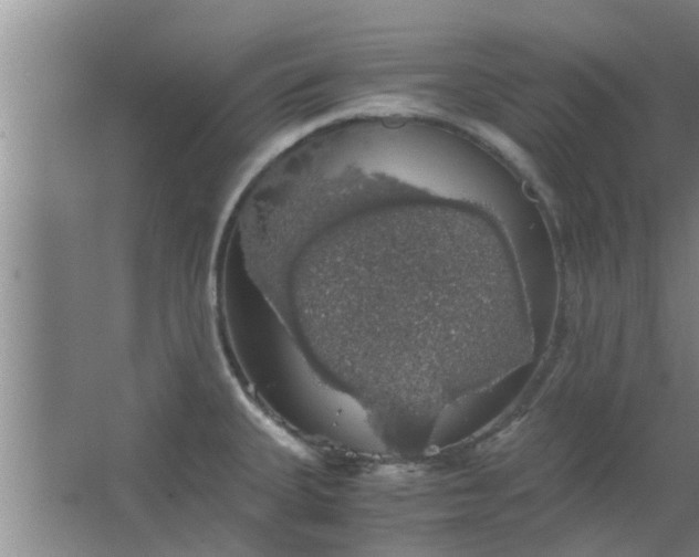 X0000063461335200602031824