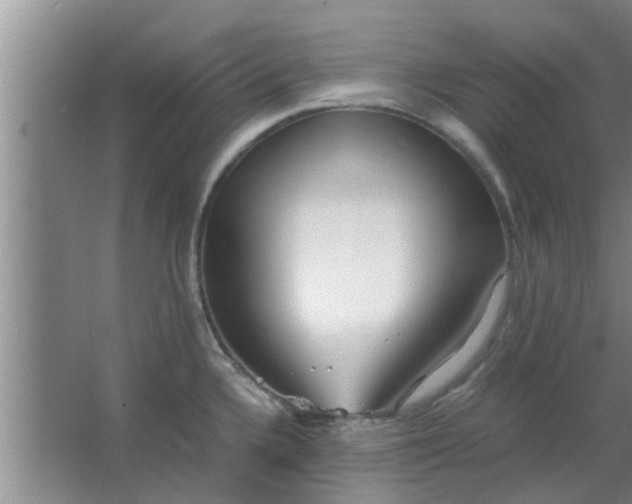 X0000063461336200602031824