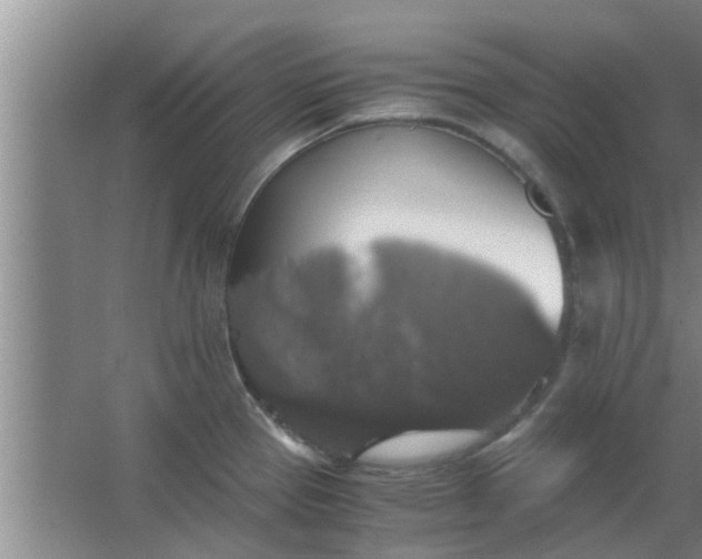 X0000063461337200602031824