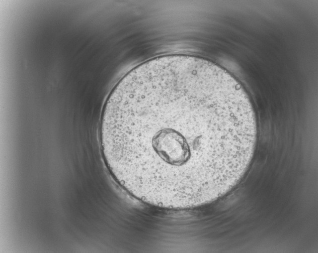 X0000063461338200602031824